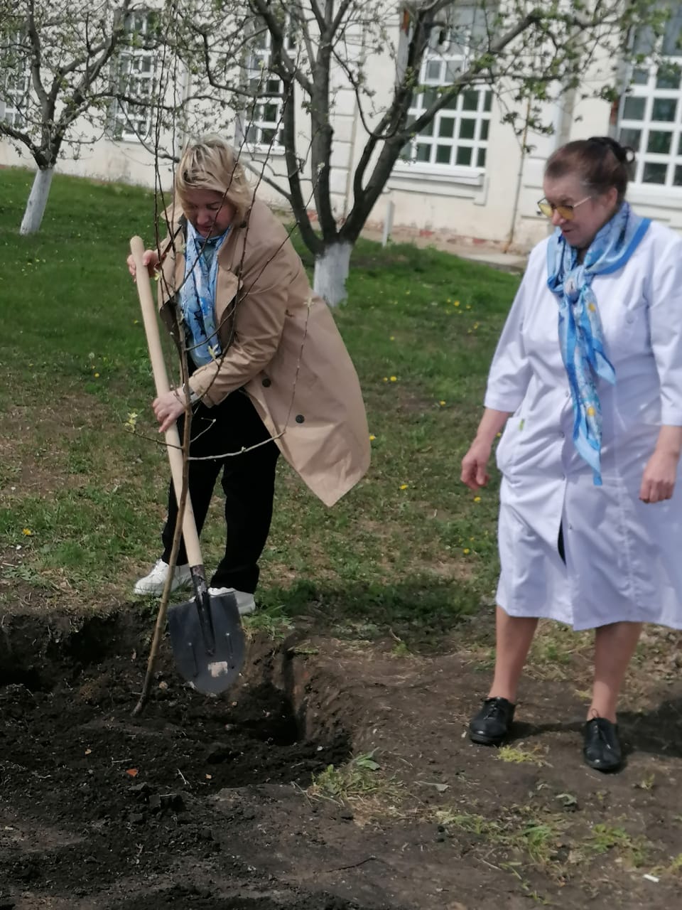 "Сирень Победы"