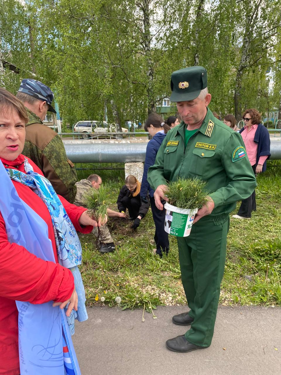 Высадка кедров в  Добринском районе