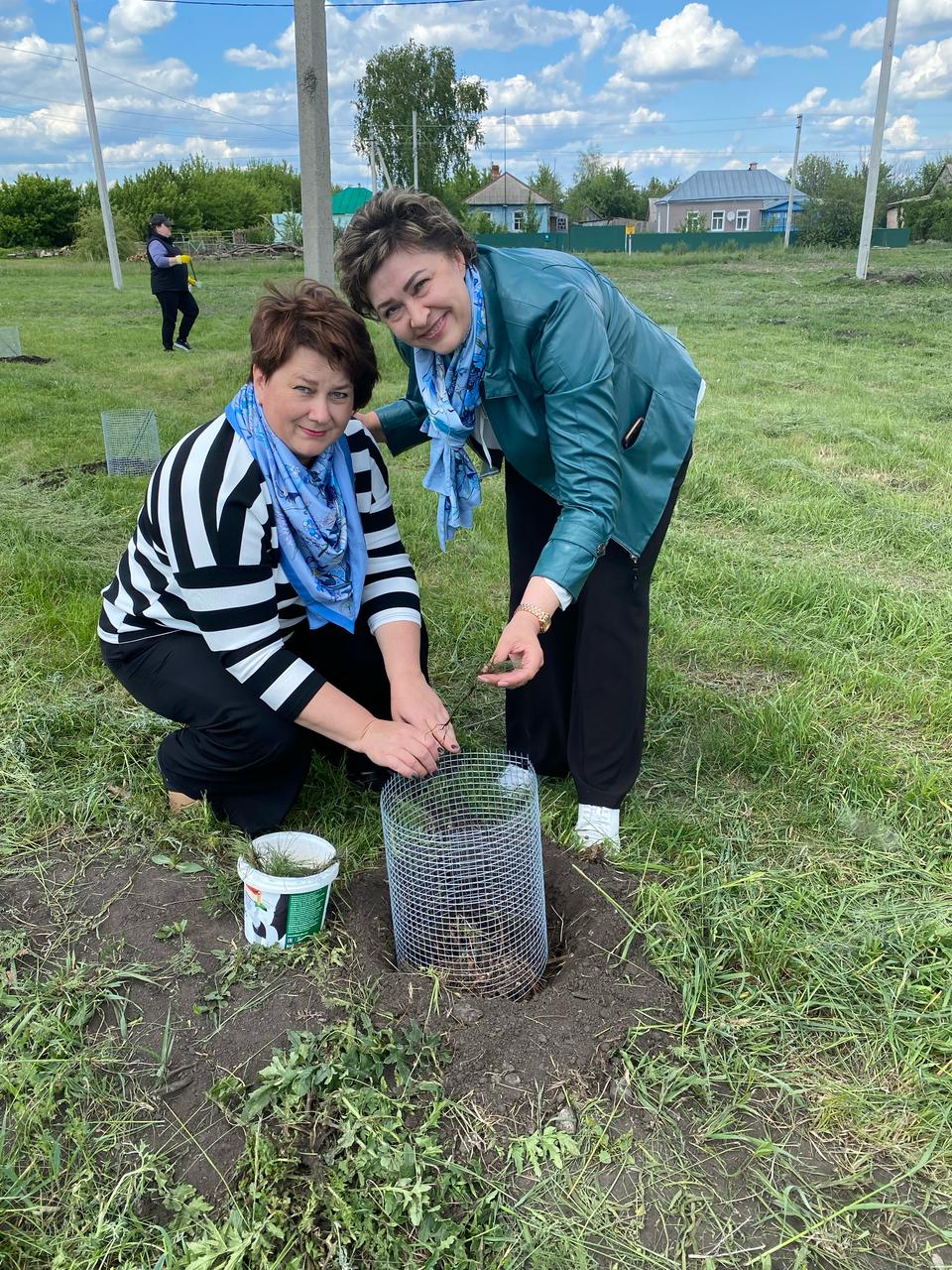 Высадка кедров в  Добринском районе