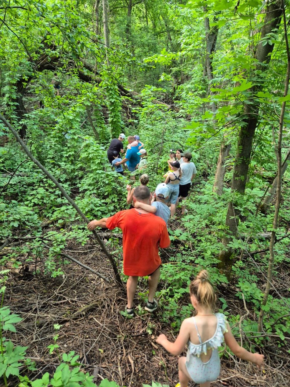 В Данковском районе прошел туристический поход по знакомым тропинкам Стрелецкого леса