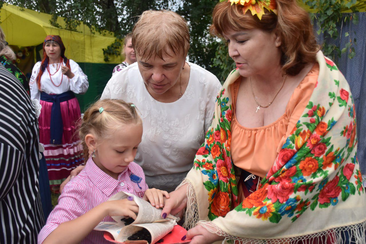 Воробьёвский подсолнух