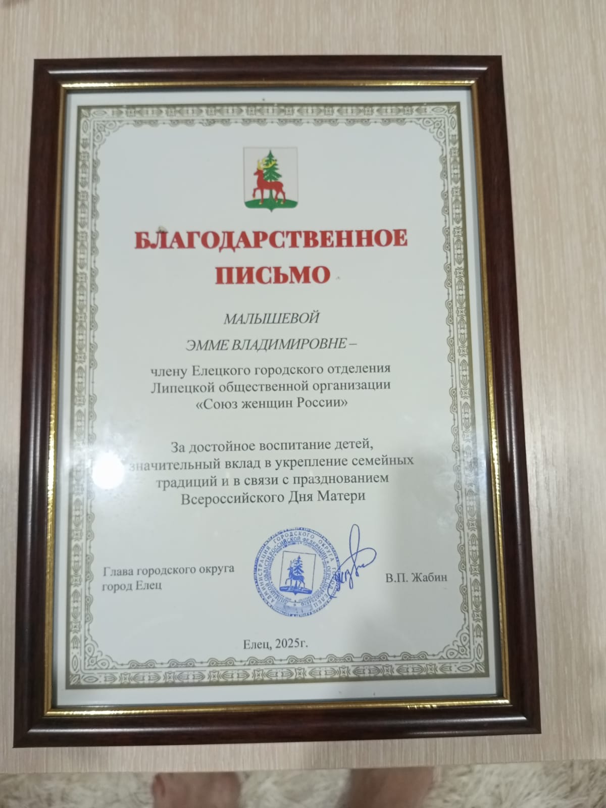 Как и по всей стране в городе Ельце прошло праздничное мероприятие, посвященное Дню матери