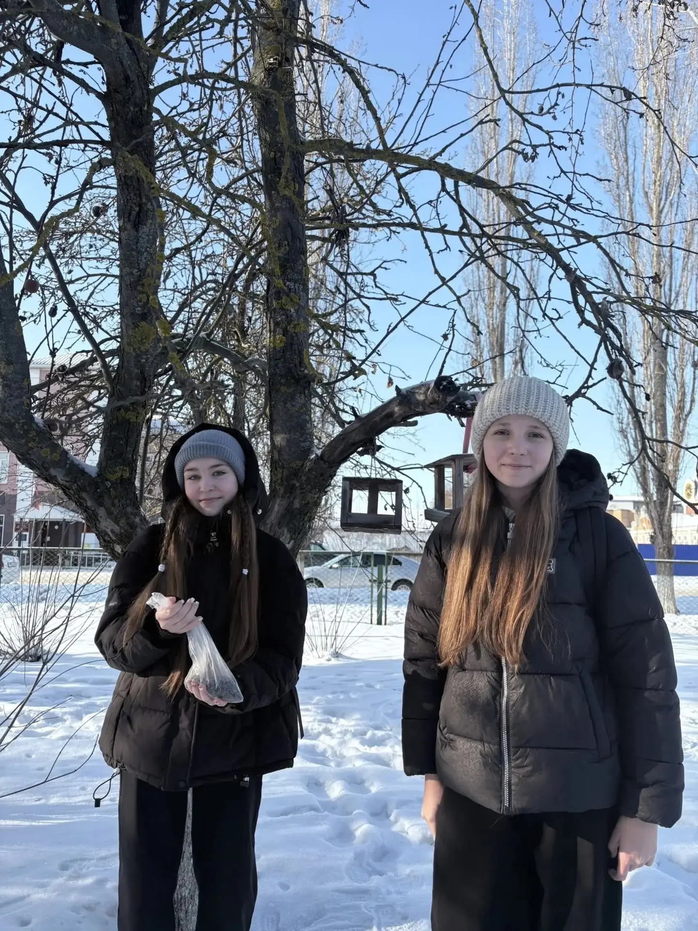 Стартовала ежегодная Всероссийская экологическая акция «Покормите птиц зимой»