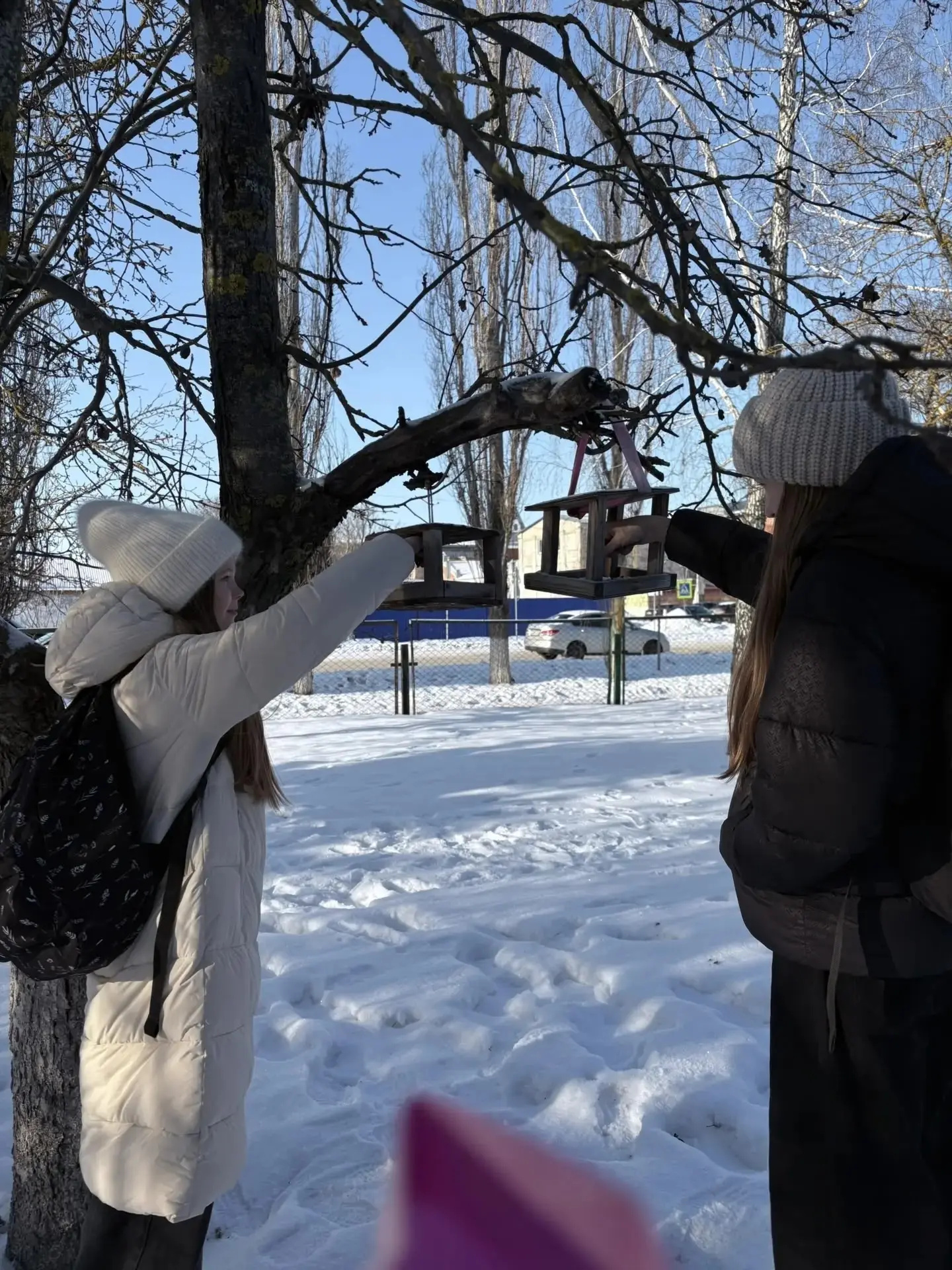 Стартовала ежегодная Всероссийская экологическая акция «Покормите птиц зимой»