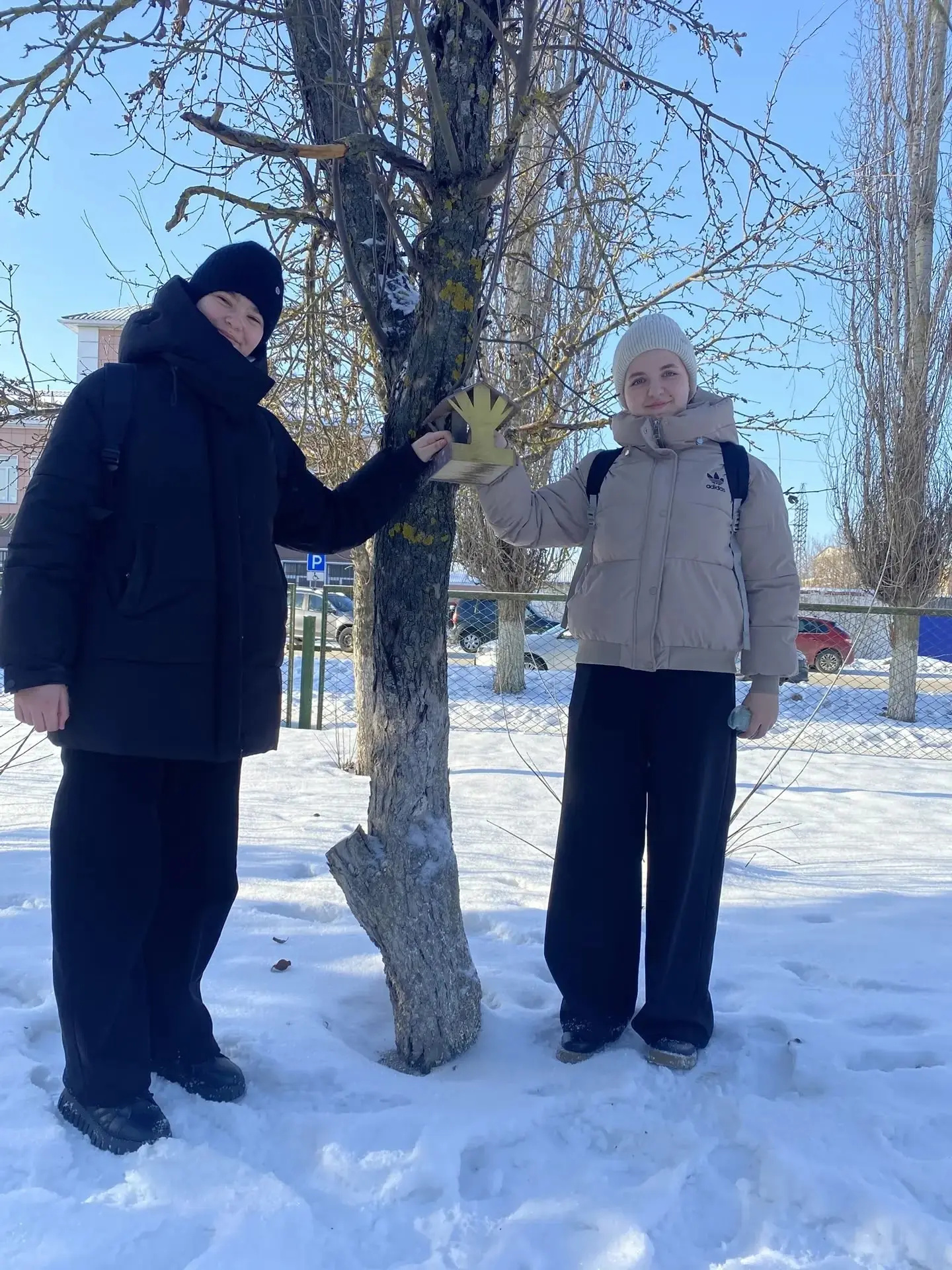 Стартовала ежегодная Всероссийская экологическая акция «Покормите птиц зимой»