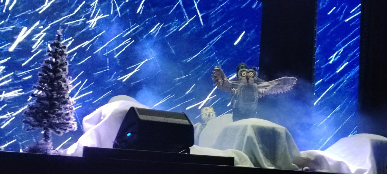 Как снеговики солнце искали