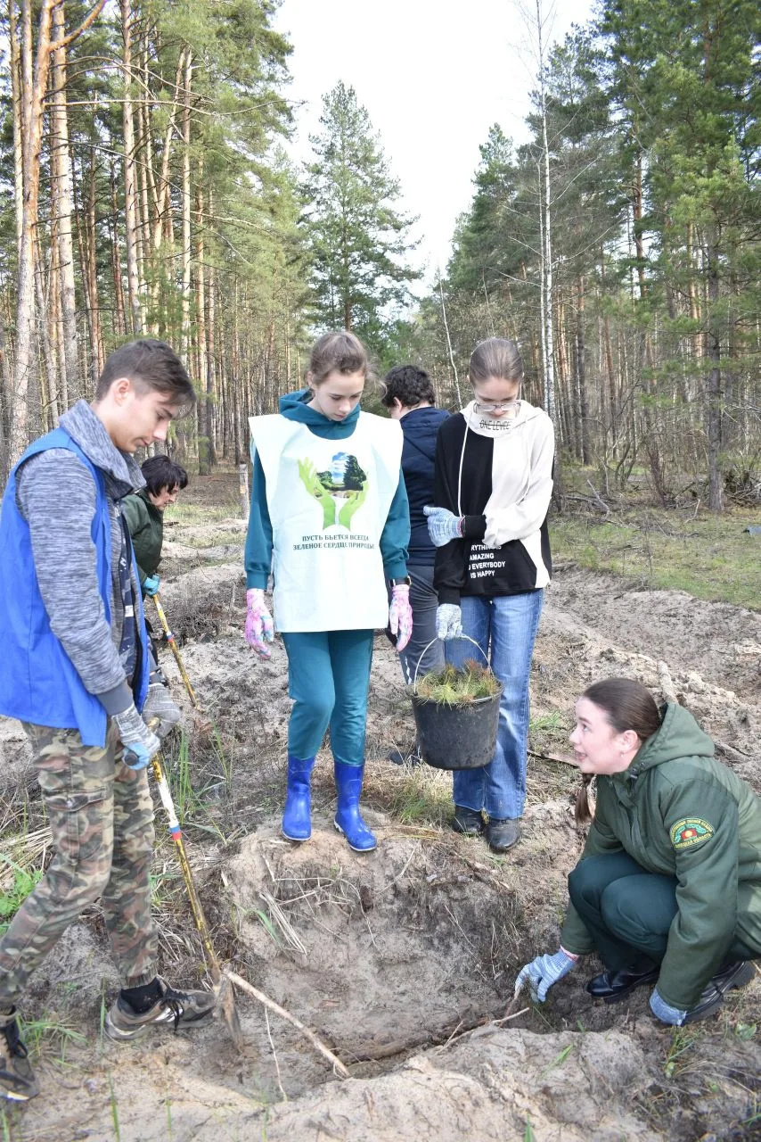 Добровский округ присоединился к масштабной эколого-патриотической акции "Сад памяти"